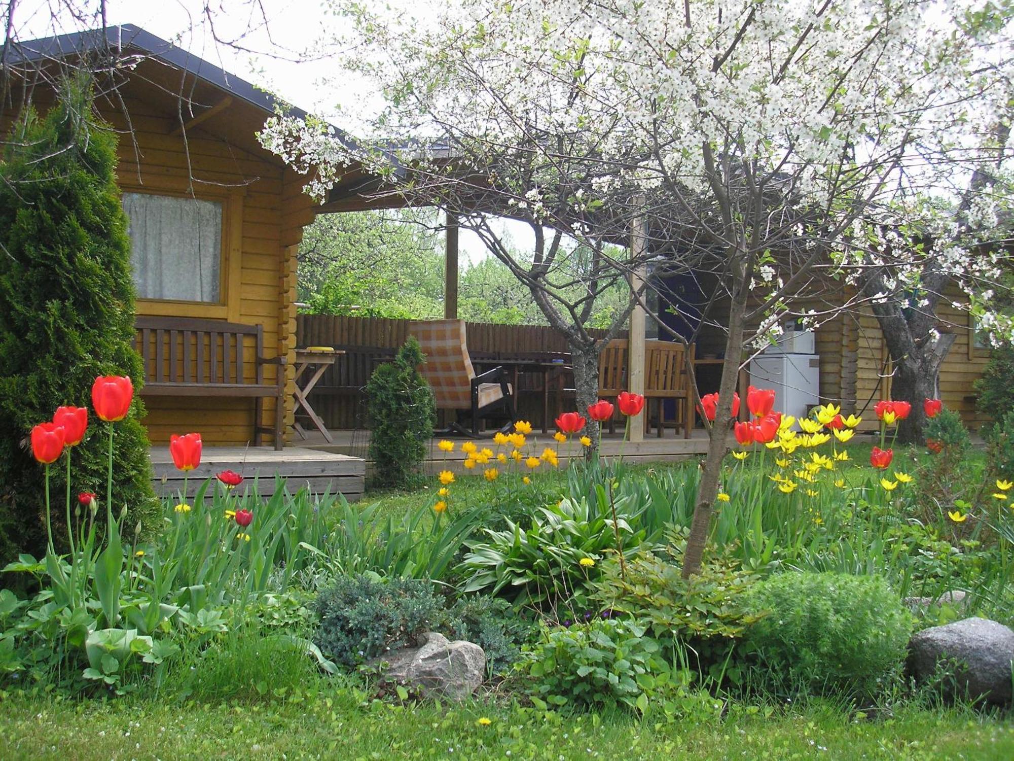 Kaare Guesthouse Viljandi  Eksteriør bilde